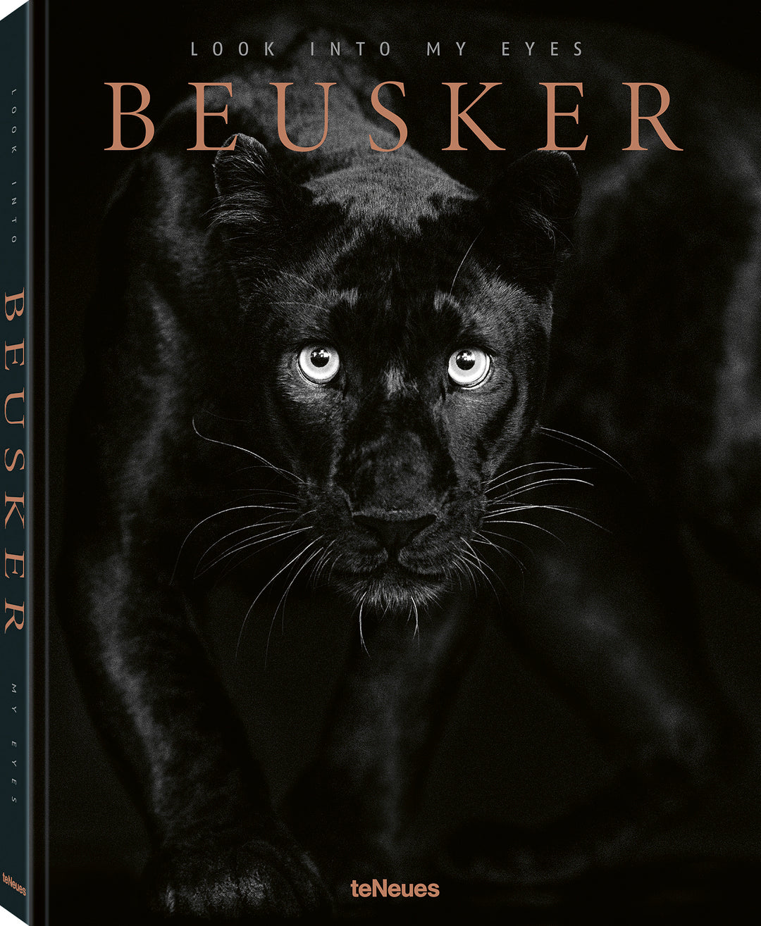 Cover image for Beusker ISBN 9783961714964